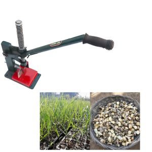 Sugarcane Bud Chipper Machine