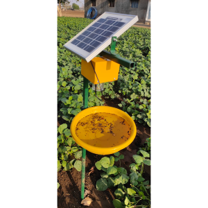 Solar Insect Light Traper 4 W Made In India