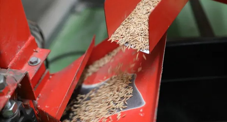Why Every Livestock Farmer Needs an Animal Feed Pellet Machine