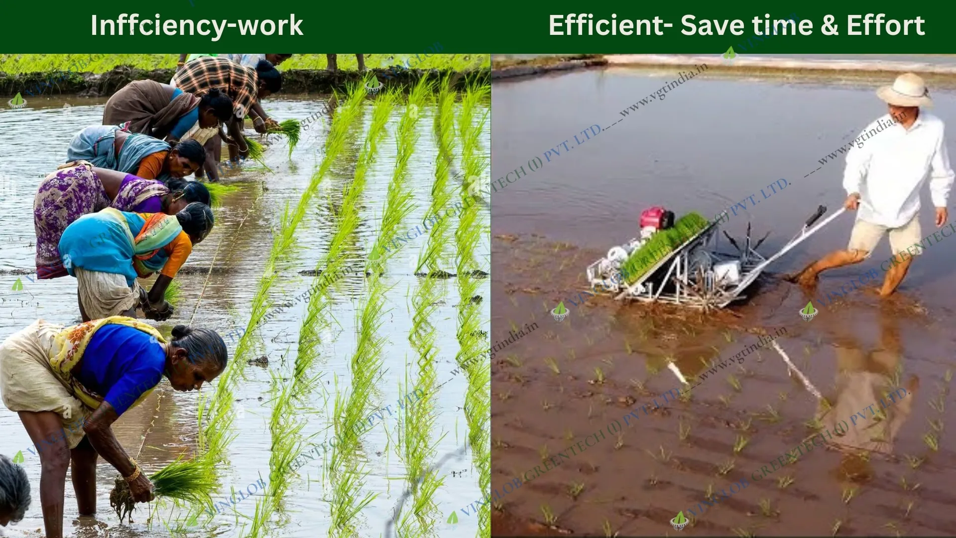 6 Row Rice Transpalnter Petrol Engine Operated (Row Walking Type) - Image 5